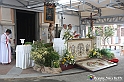 VBS_9791 - Infiorata di Villanova d'Asti 2023